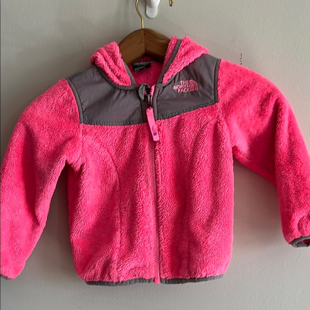 The North Face Toddler Size 3T Oso Hooded Jacket